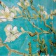 IXXI - Van Gogh - Amandelbloesem - 160x120 cm